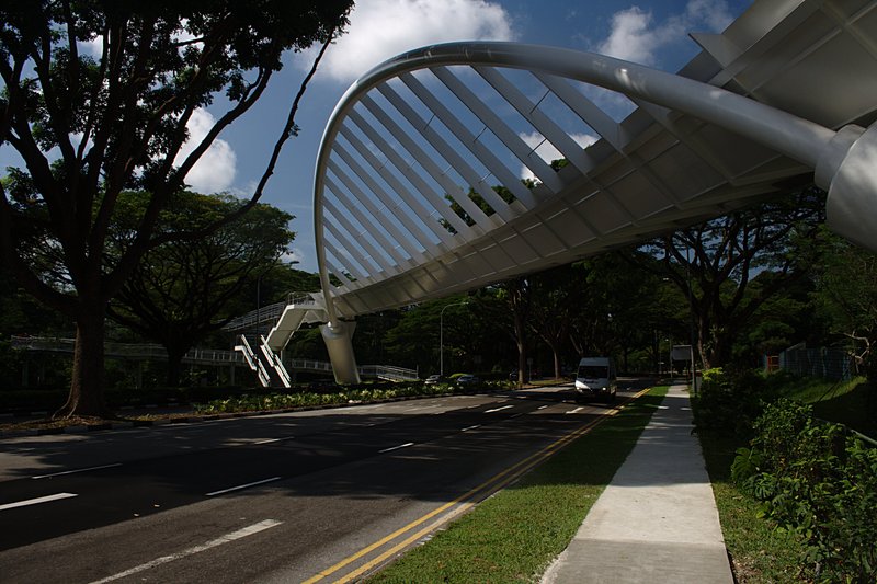 Not too far away lays the Alexandra Arch. we trotted on this 80m long bridge which has a curved deck and tilted arch like an open leaf and overlooks the busy Singapore traffic.